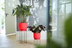 b.for studio rond 22cm briljant rood